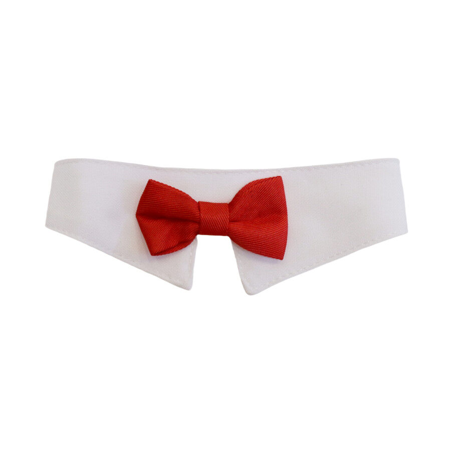 Gotoo Pajarita roja para gatos