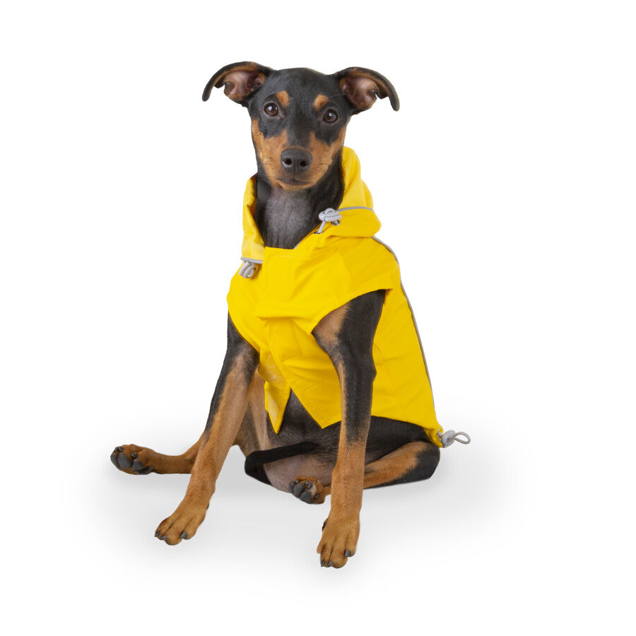 Outech Fisher Impermeable amarillo para perros thumbnail