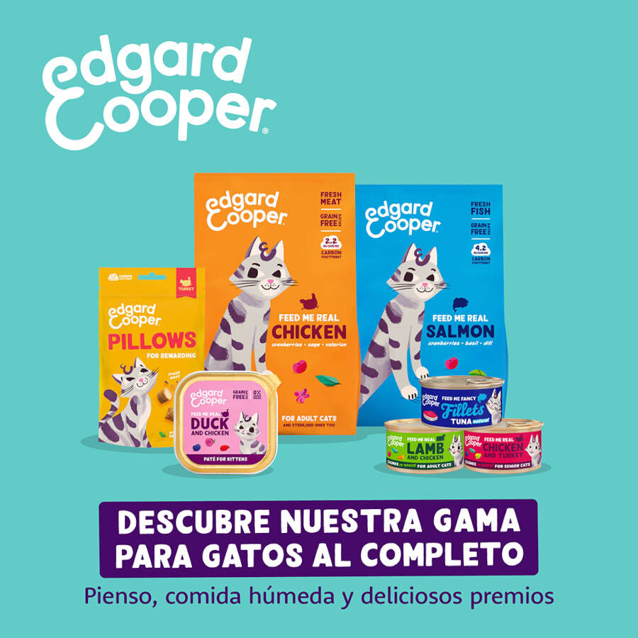 Edgard &amp; Cooper Galletas Crunchies Pollo para gatos thumbnail