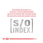 Royal Canin Veterinary Gastrointestinal pienso para gatos, , large image number null