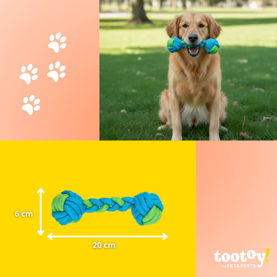 Tootoy! Hueso Mordedor de Cuerda Verde y Azul para perros, , large Imagen numero 4