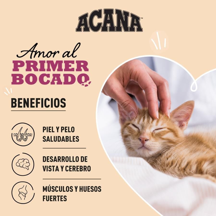 Acana First Feast pienso para gatitos thumbnail