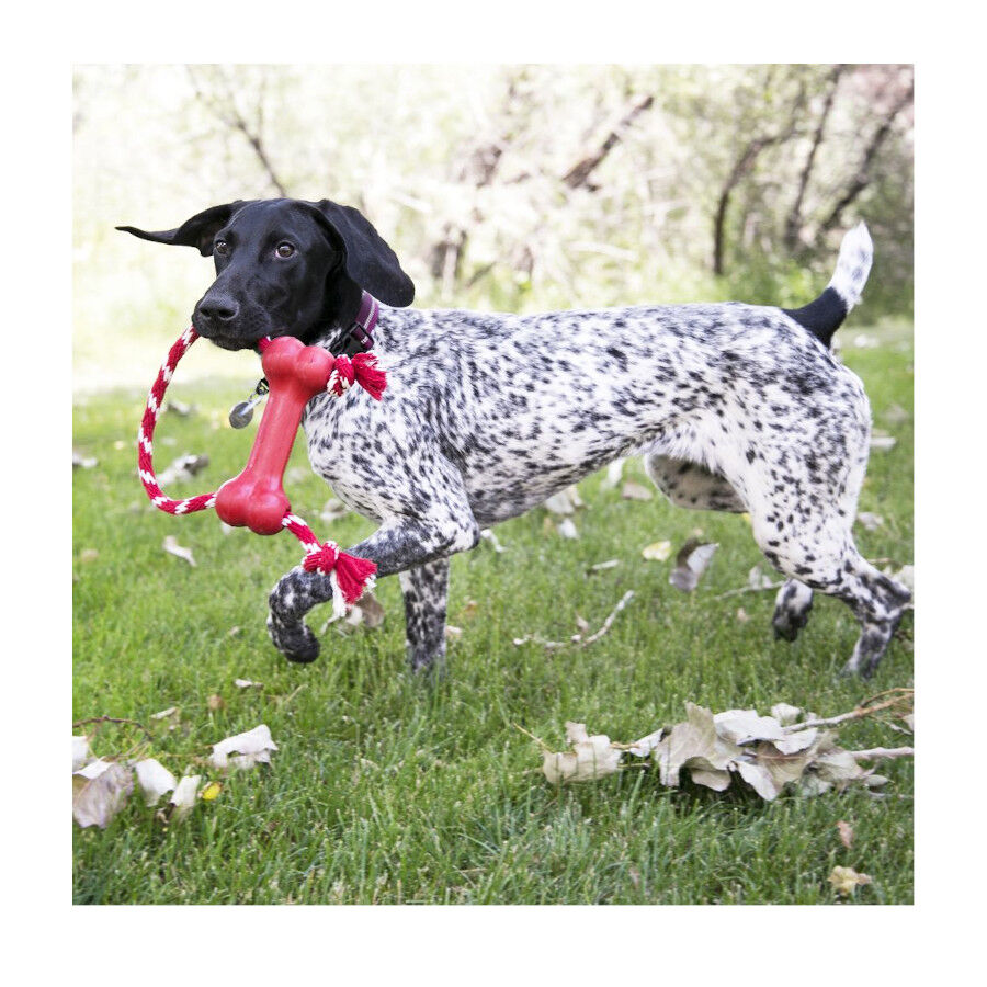Kong Goodie Bone Hueso con cuerda para perros, , large Imagen numero 2