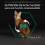 10 kg Pro Plan Adult Renal Plus Pollo Pienso para gatos, , large indicador imagen numero 6