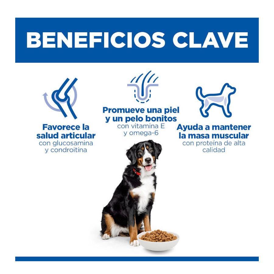 Hill&#039;s Science Plan Adult Large Pienso Pollo para perros thumbnail