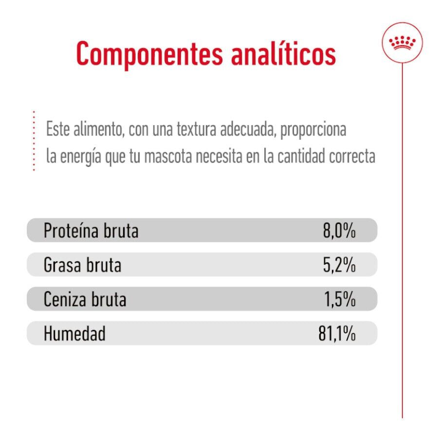 Royal Canin X-Small Adult sobres en salsa para perros thumbnail