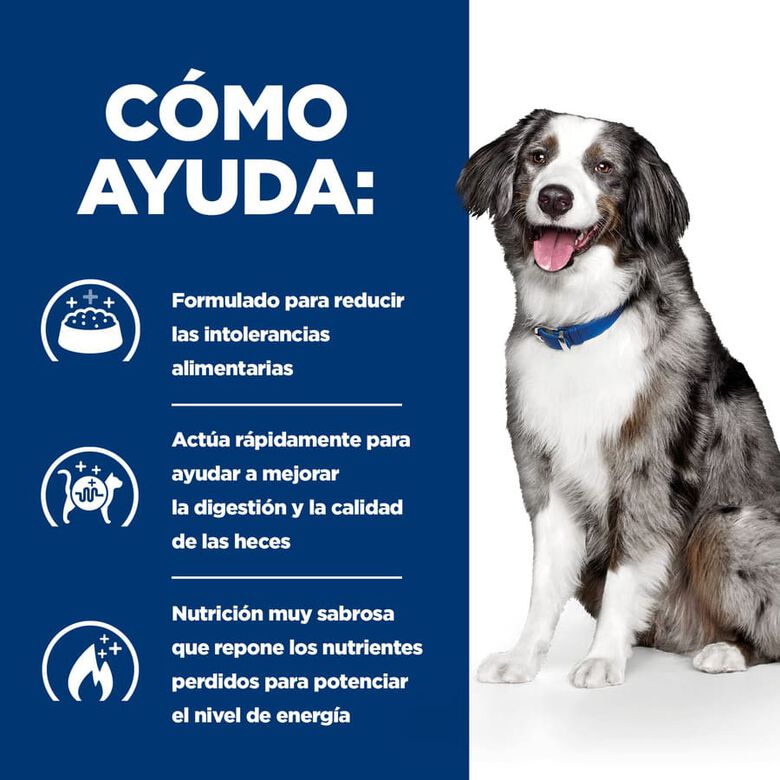 Hill&#039;s Prescription Diet Digestive Care i/d pienso para perros thumbnail