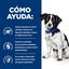 156 g Hill's Prescription Diet Digestive Care i/d Perros Estofado de Pollo y Verduras, , large indicador imagen numero 4
