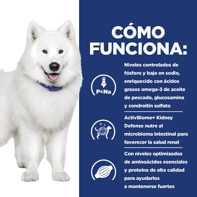 Hill&#039;s Prescription Diet kidney + Mobility pienso para perros thumbnail