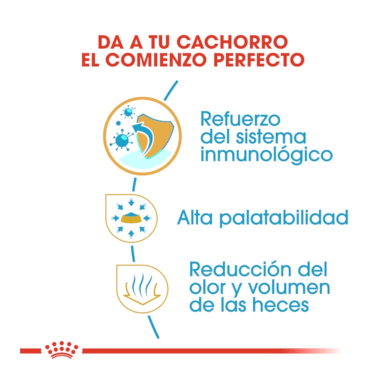 1.5 kg Royal Canin Puppy Chihuahua pienso para cachorros,  Imagen numero 6 1.5 kg Royal Canin Puppy Chihuahua pienso para cachorros, , large Imagen numero 6