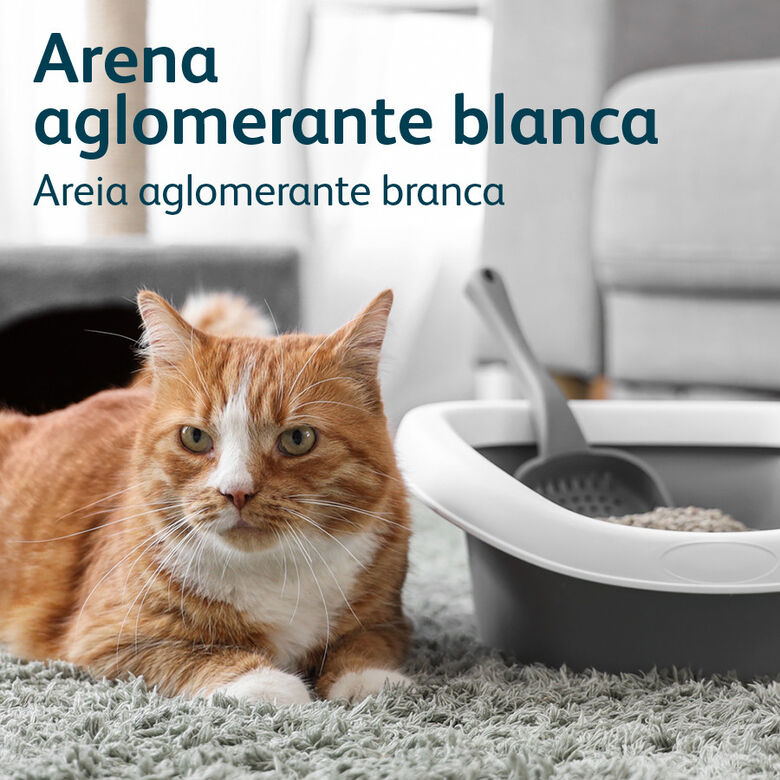 Nova Clean Ultra Arena Aglomerante de Talco para gatos thumbnail