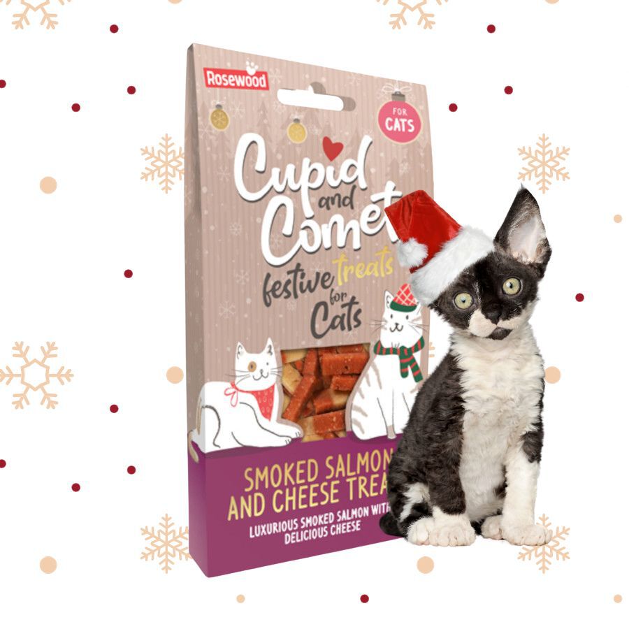 70 g Rosewood Bocaditos Cupid & Comet de Salm&oacute;n Ahumado con Queso para gatos, , large Imagen numero 2
