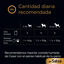 4 sobres x 100 g Cesar Carnes Mixtas Salsa en Bolsita para Perros , , large indicador imagen numero 6