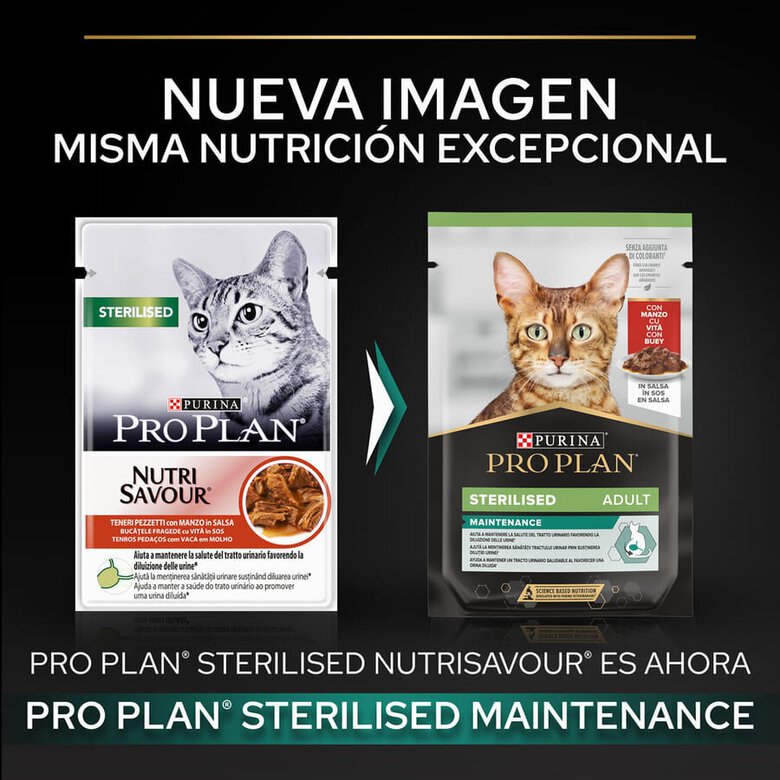85 g Pro Plan Sterilised Maintenance sobre con Buey en salsa para gatos,  Imagen numero 2 85 g Pro Plan Sterilised Maintenance sobre con Buey en salsa para gatos, , large Imagen numero 2