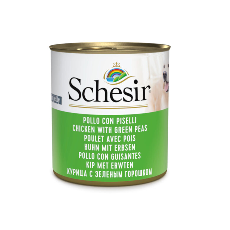 Schesir Adult pollo con guisantes lata para perros