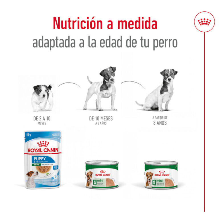 195 g Royal Canin Mini 8+ Ageing lata para perros, , large Imagen numero 5