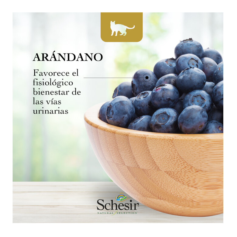 1.4 kg Schesir Adult Natural Selection Buey pienso para gatos,  Imagen numero 4 1.4 kg Schesir Adult Natural Selection Buey pienso para gatos, , large Imagen numero 4