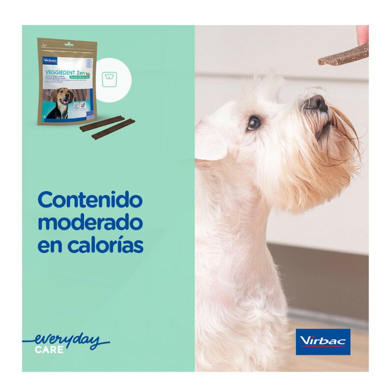 15 barritas Virbac Láminas Veggiedent Zen S para perros,  Imagen numero 9 15 barritas Virbac Láminas Veggiedent Zen S para perros, , large Imagen numero 9