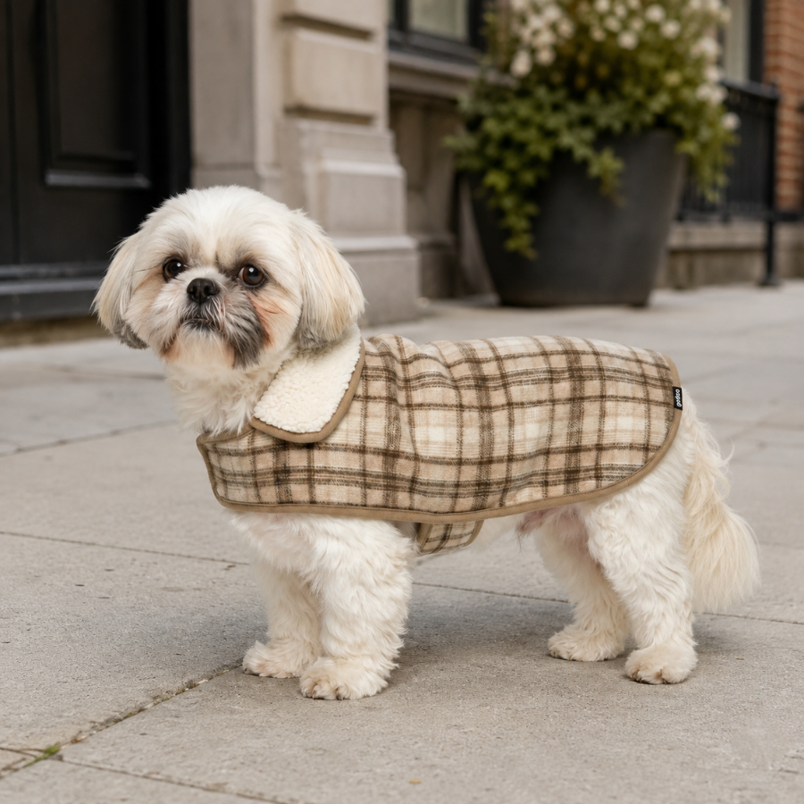 Gotoo Chaqueta Tart&aacute;n Cuadros para perros, , large Imagen numero 1