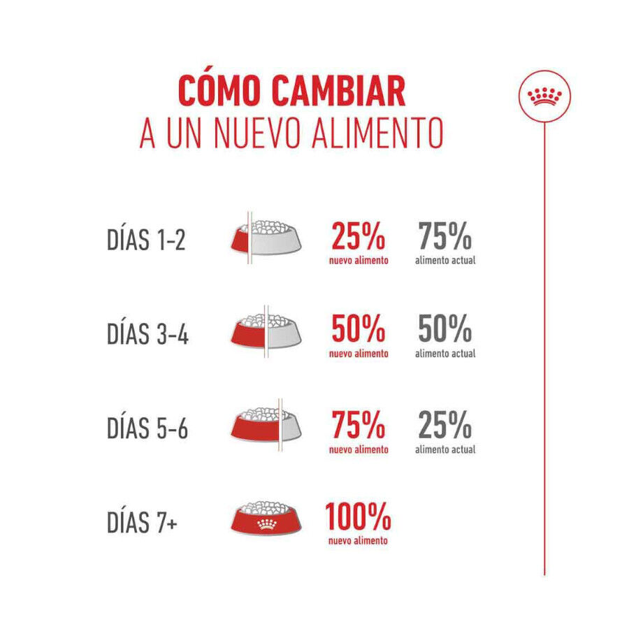 Royal Canin Ageing +15 pienso para gato senior thumbnail