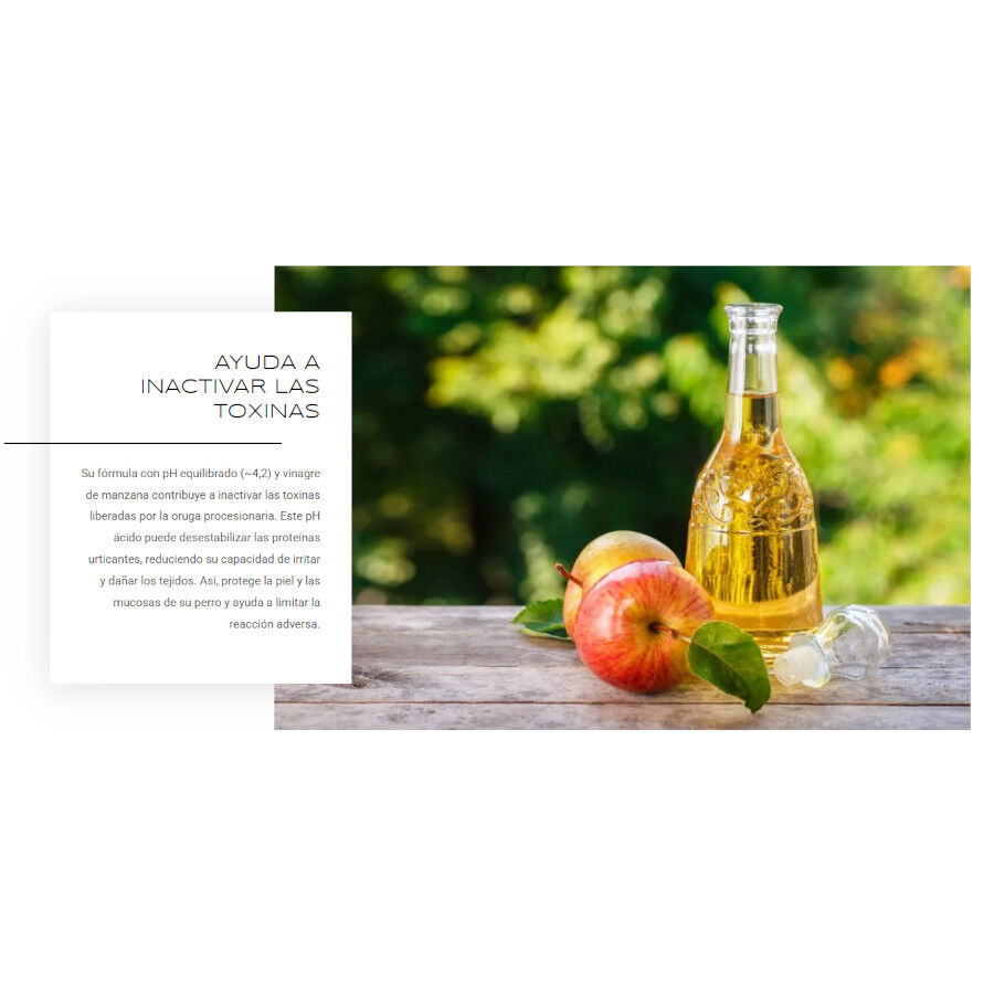 ProcesioFix Spray de Primeros Auxilios contra Procesionarias para Perros, , large Imagen numero 2