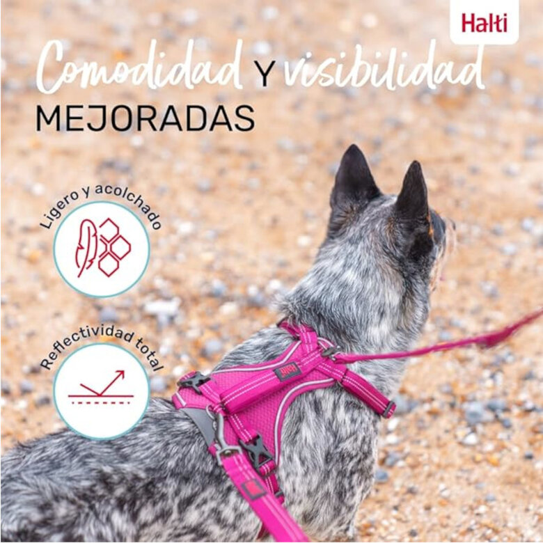 Halti arnés anatómico con asa magenta para perros,  Imagen numero 5 Halti arnés anatómico con asa magenta para perros, , large Imagen numero 5