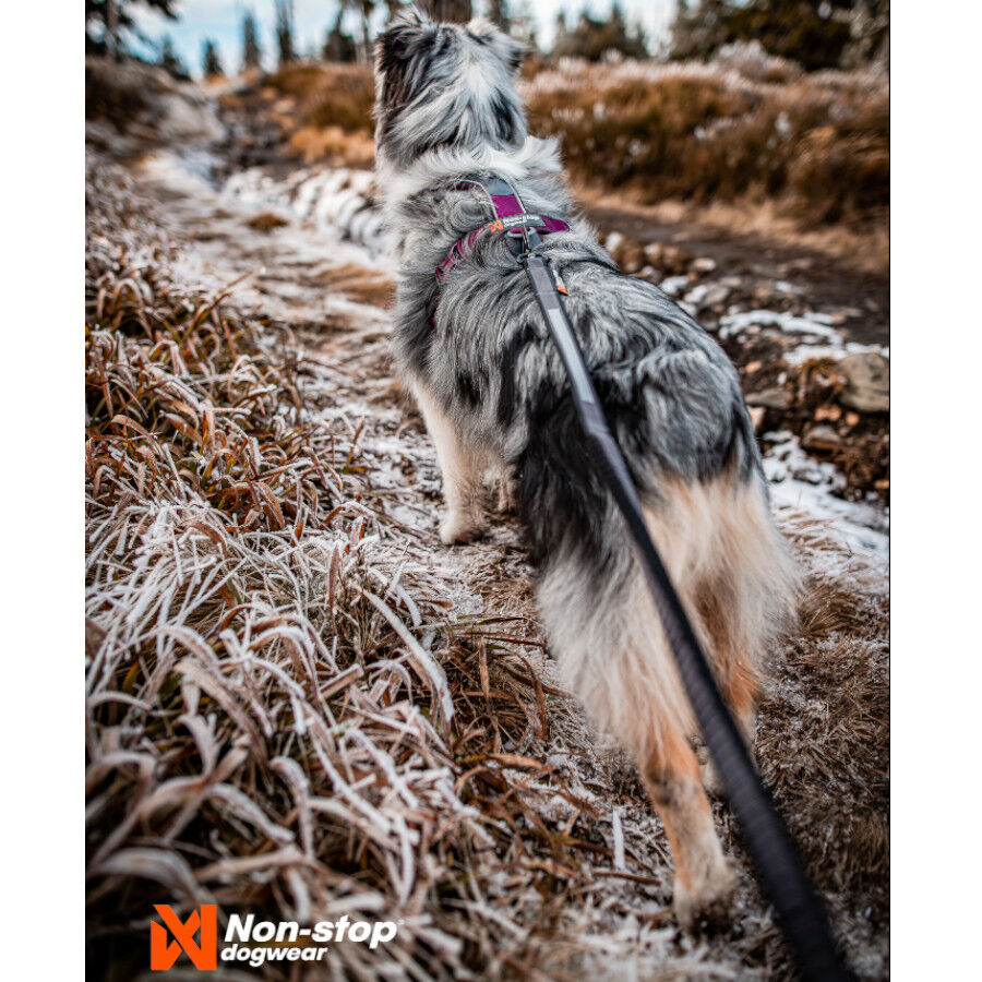 Non-stop dogwear Line 5.0 Arnés Púrpura para perros thumbnail