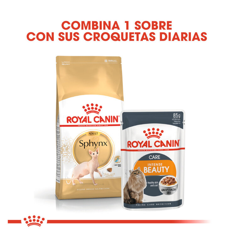 Royal Canin Adult Sphynx pienso para gatos, , large image number null