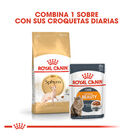 Royal Canin Adult Sphynx pienso para gatos, , large image number null