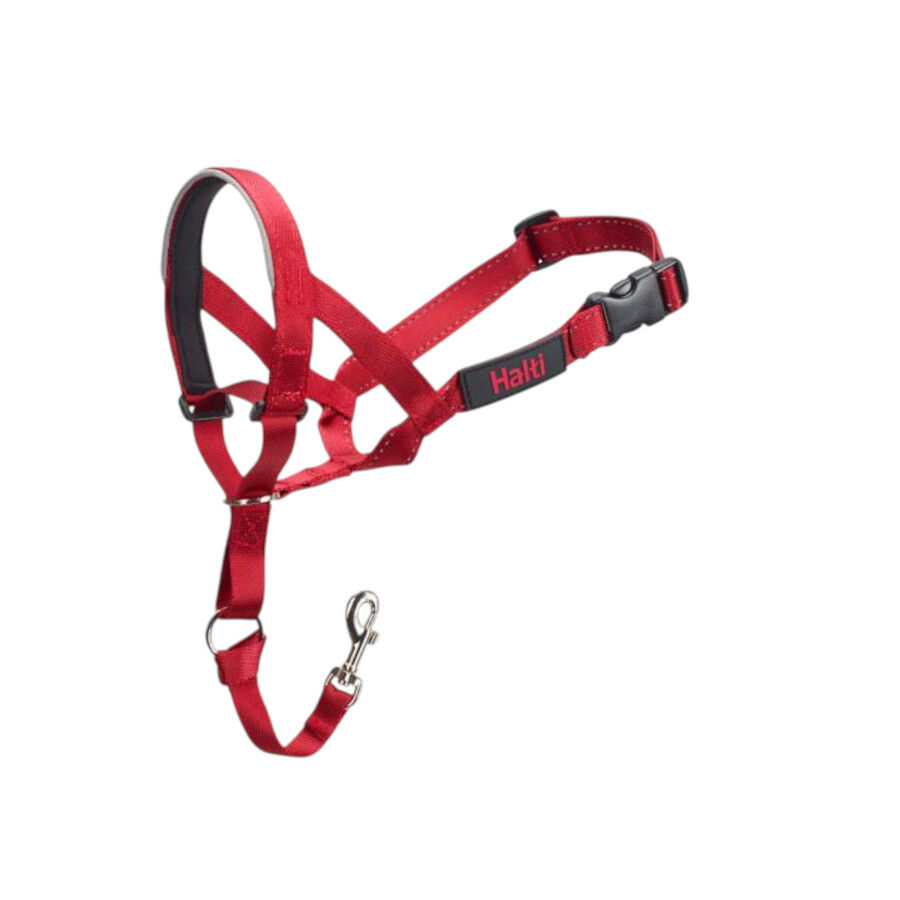Halti collar antitirones con bozal rojo para perros, , large Imagen numero 1