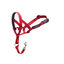 Halti collar antitirones con bozal rojo para perros, , large indicador imagen numero 1