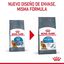 8 kg Royal Canin Adult Light Weight Care pienso para gatos, , large indicador imagen numero 2