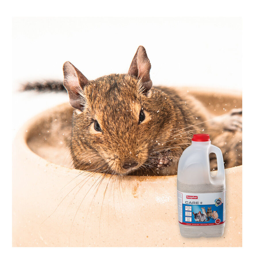 Beaphar Care+ Arena de Ba&ntilde;o para chinchillas, , large Imagen numero 5