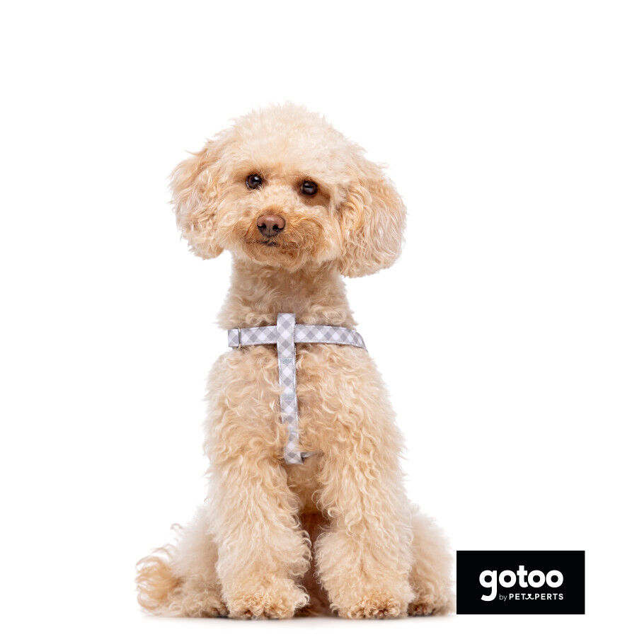 Gotoo Arnés estampado cuadro vichy gris para perros thumbnail