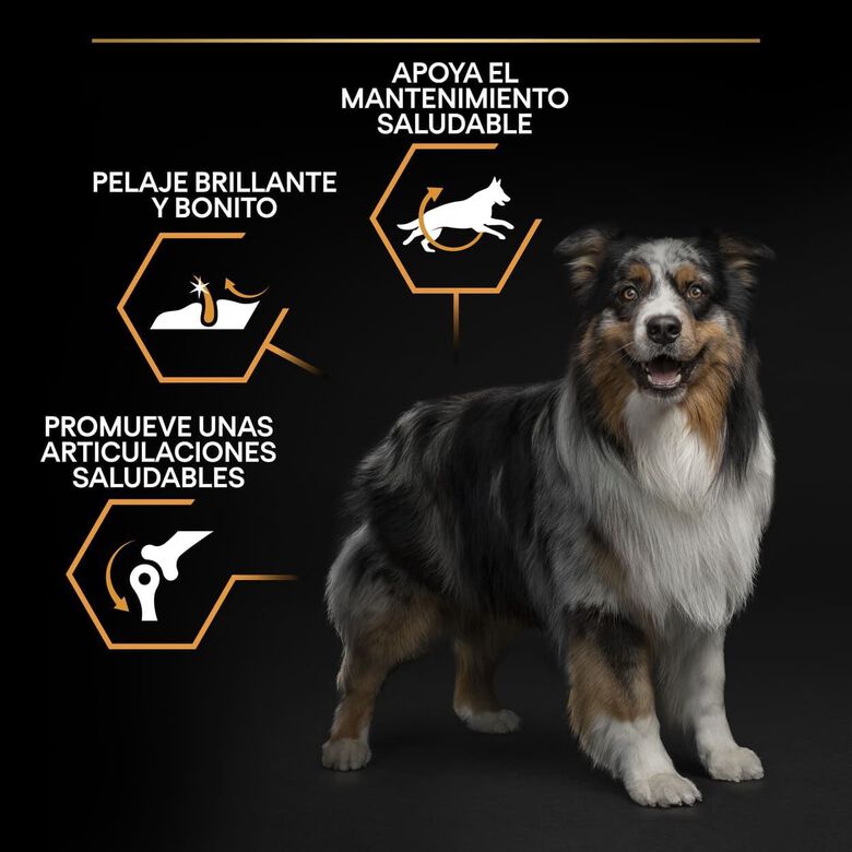 Pro Plan Medium Adult Pollo pienso para perros thumbnail