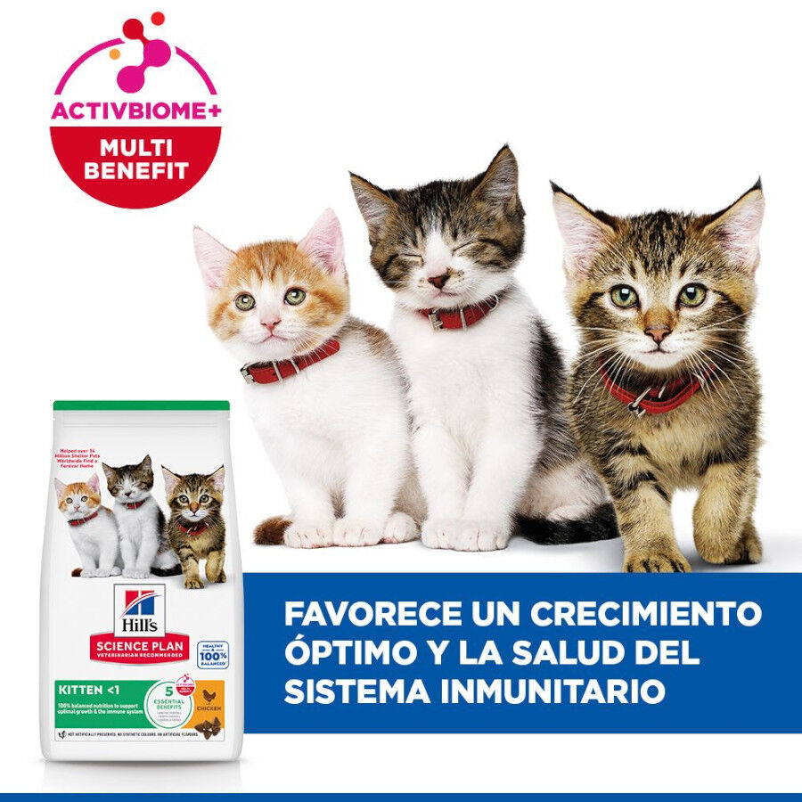 1.5 kg Hill's Science Plan Kitten Pollo pienso para gatos, , large Imagen numero 3