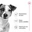 85 g Royal Canin Mini Adult sobre en salsa para perros, , large indicador imagen numero 3