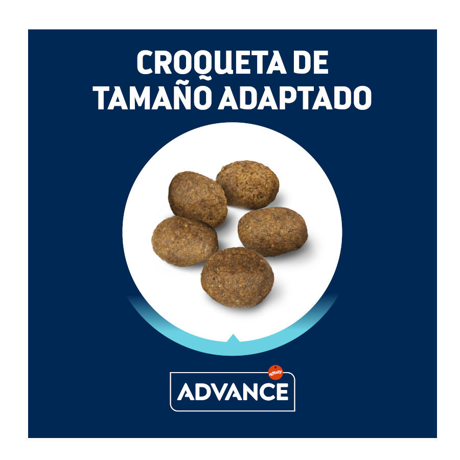 Advance Active Defense Mini Sensitive Salmón y Arroz pienso para perros thumbnail
