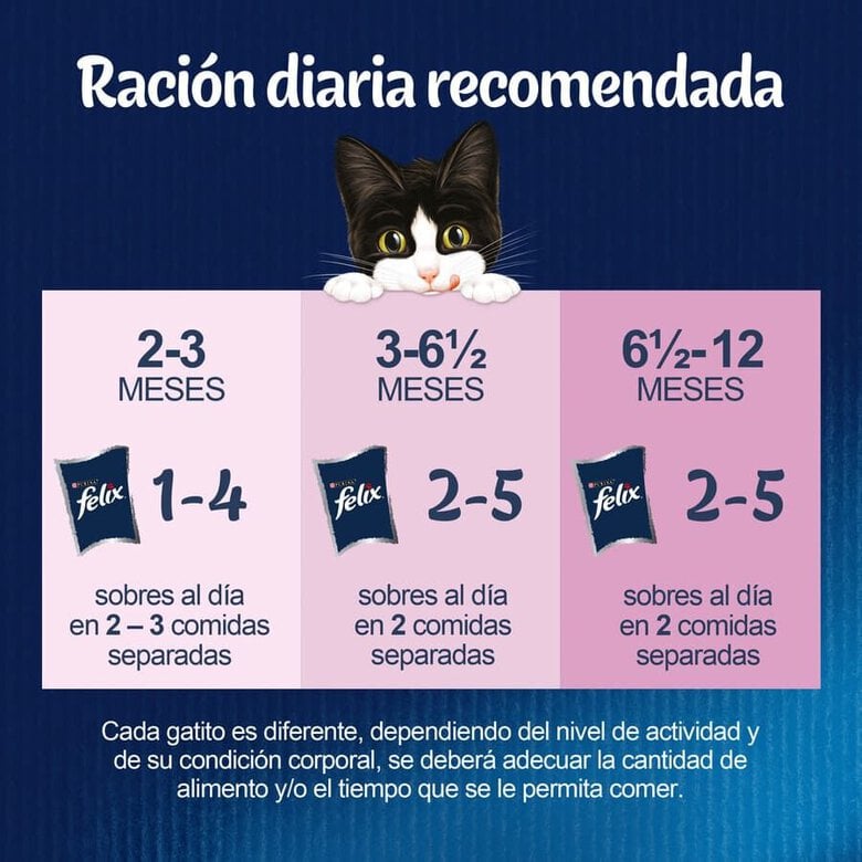 4 sobres x 85 g Felix Junior Fantastic Carne y Pescado en Gelatina sobre para gatos,  Imagen numero 3 4 sobres x 85 g Felix Junior Fantastic Carne y Pescado en Gelatina sobre para gatos, , large Imagen numero 3
