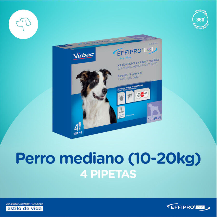 Effipro Duo pipetas antiparásitos para perros thumbnail