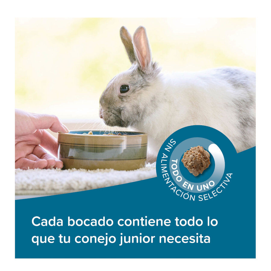 Beaphar Care + Junior Pienso para conejo junior, , large Imagen numero 4