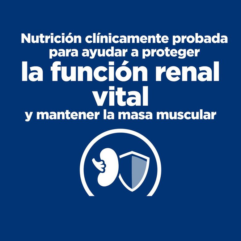 Hill's Prescription Diet Kidney Care Pollo sobre para gatos, , large image number null