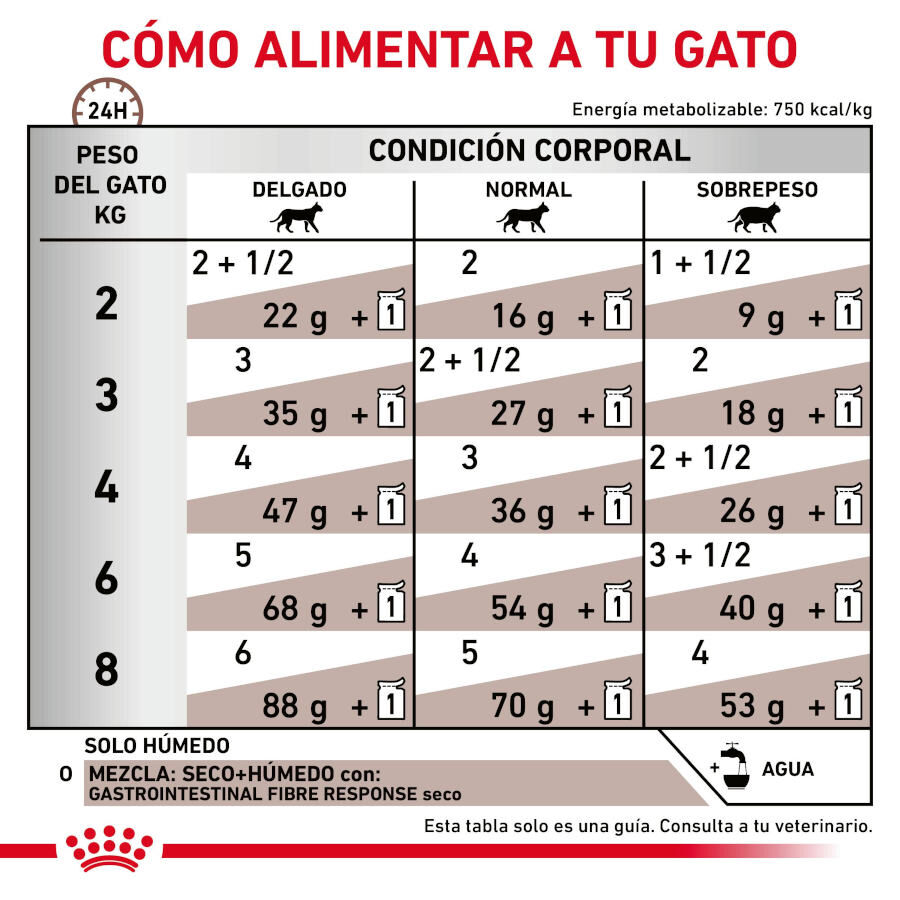Royal Canin Gastrointestinal Fibre Response Láminas en Salsa Sobre para gatos thumbnail