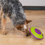 Outward Hound Treat Maze Disco Interactivo para perros, , large indicador imagen numero 2