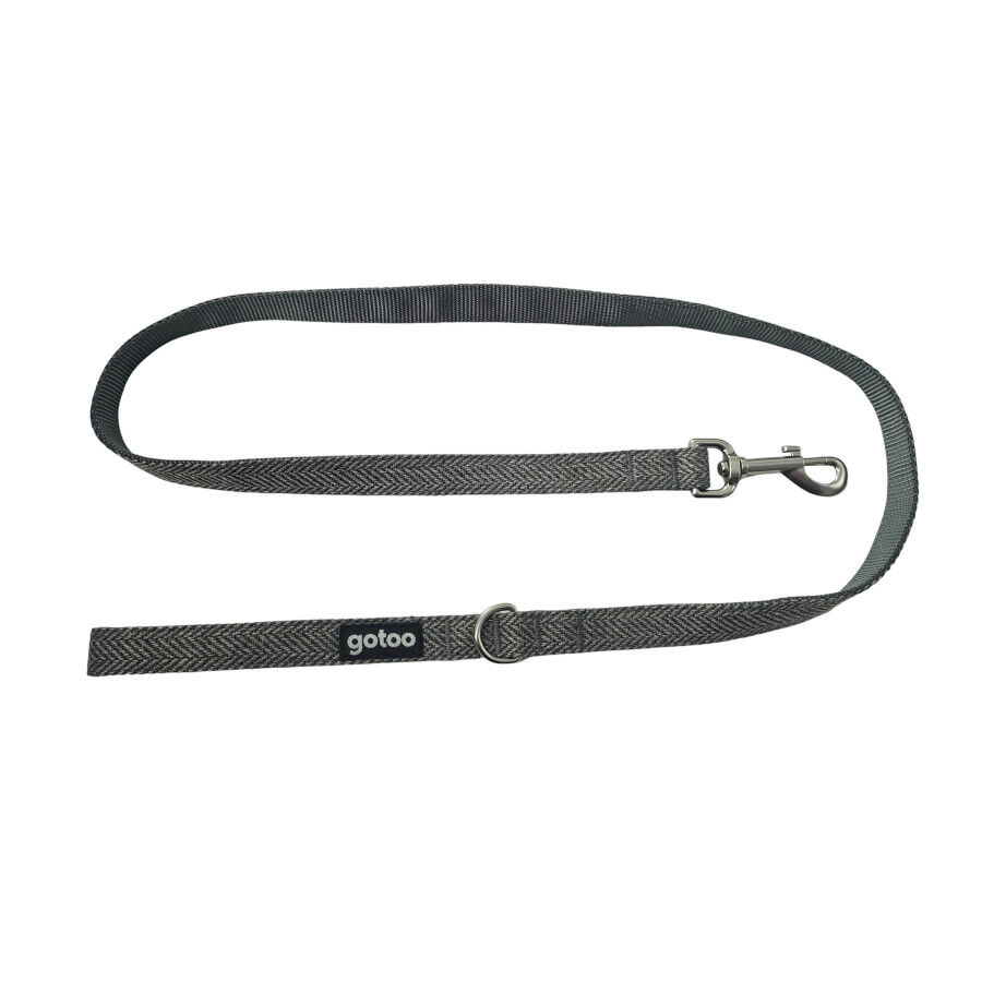 Gotoo Correa espiga gris para perros, , large Imagen numero 1