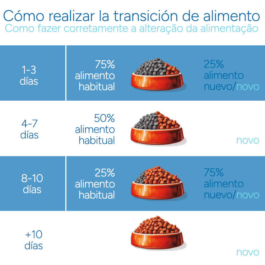 Criadores Científico Kitten pollo pienso para gatitos thumbnail