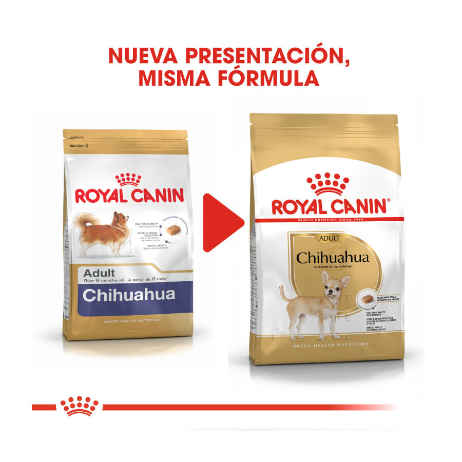 Royal Canin Adult Chihuahua pienso para perros thumbnail