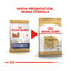 3 kg Royal Canin Adult Chihuahua pienso para perros, , large indicador imagen numero 3