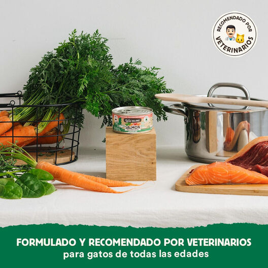 Wild Balance BARF Salmón y Ternera lata para gatos, , large image number null