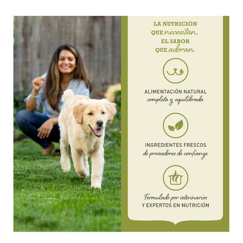 4.5 kg Acana Highest Protein Indoor Pollo Salmón y Trucha Pienso para gatos,  Imagen numero 3 4.5 kg Acana Highest Protein Indoor Pollo Salmón y Trucha Pienso para gatos, , large Imagen numero 3